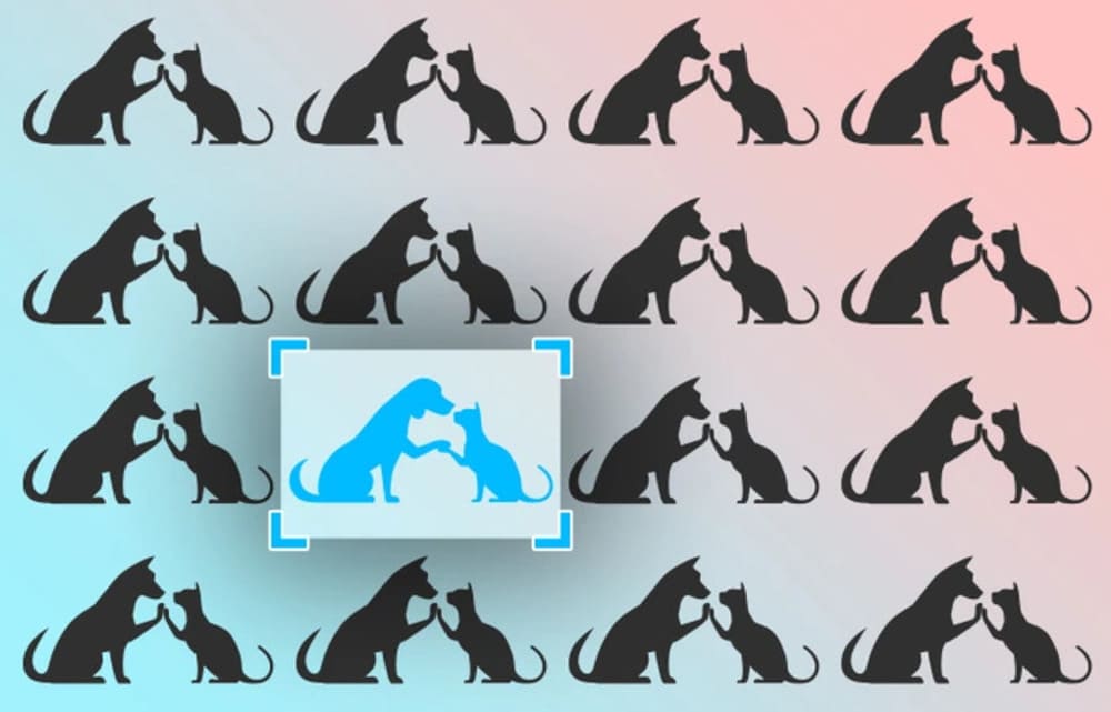 интересный тест на внимательность