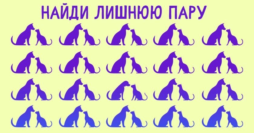 Интересный тест на внимательность интересный тест на внимательность