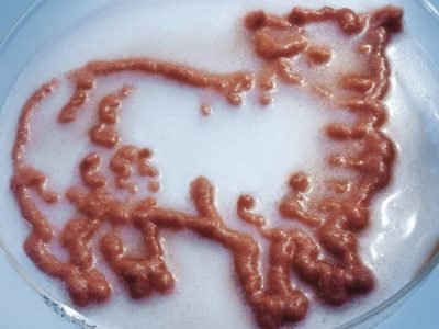 Искусственное мясо