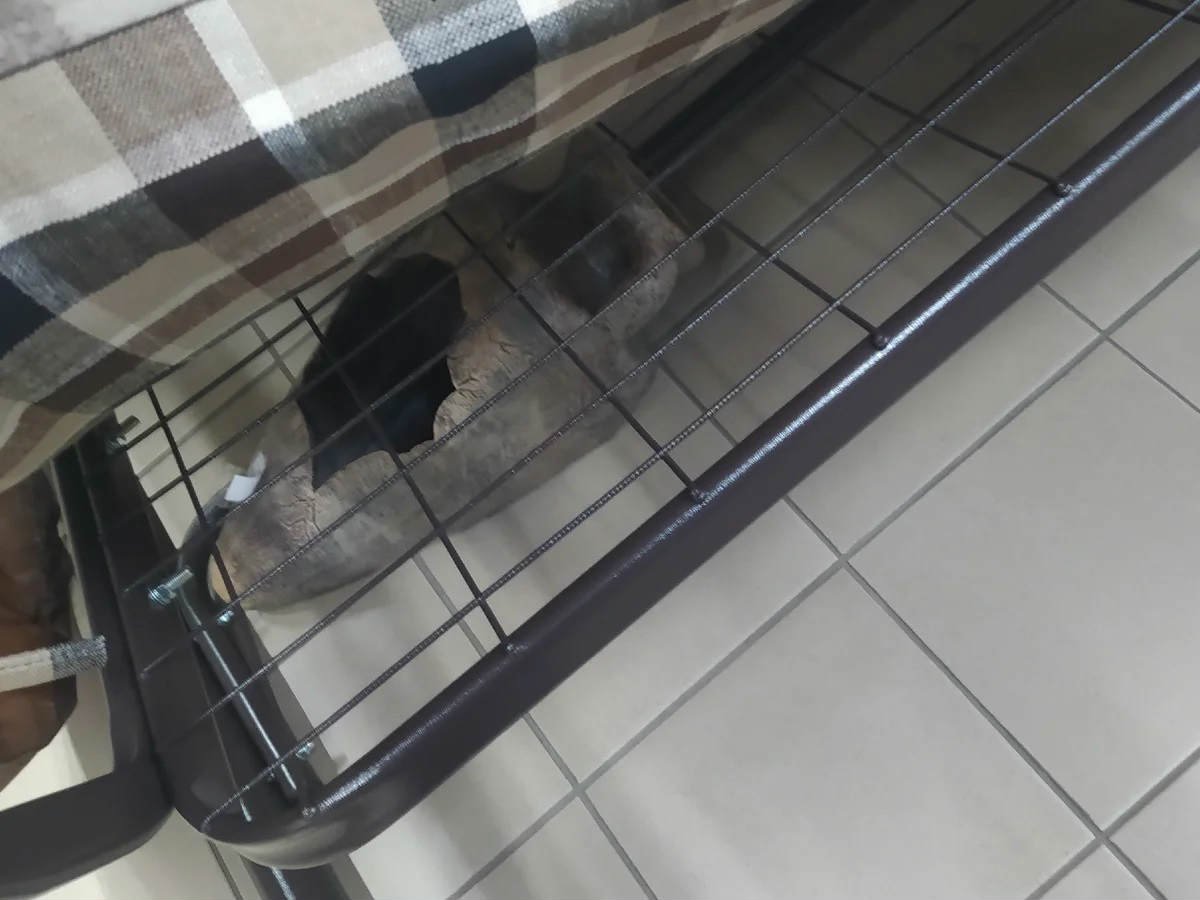 сиденье из сетки