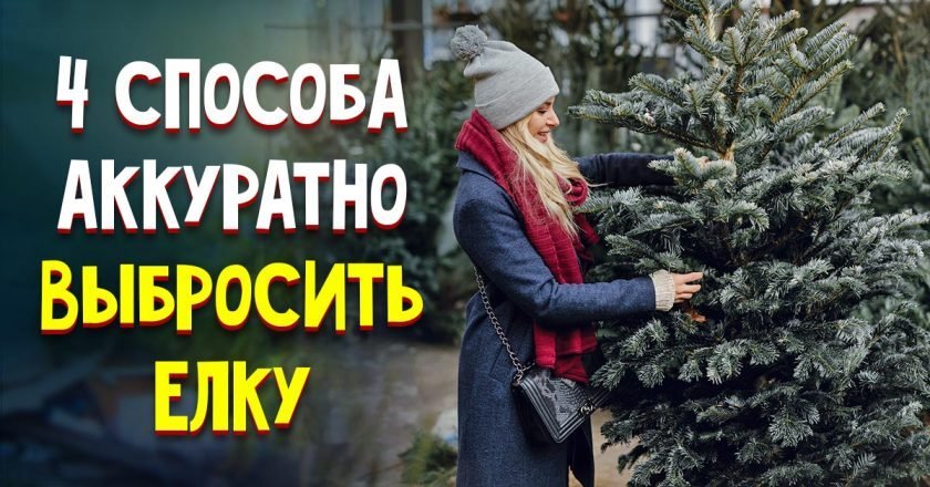 как аккуратно вынести елку