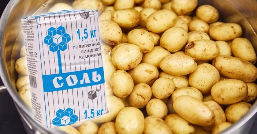 как быстро почистить молодой картофель