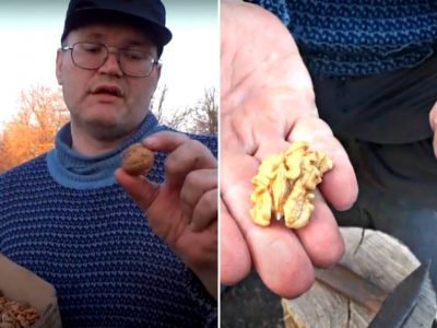 Как чистить орехи на продажу