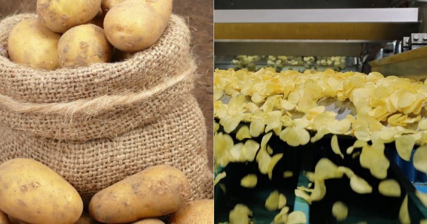 Как делают чипсы