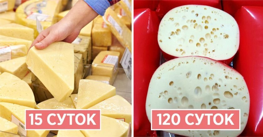 как хранить сыр