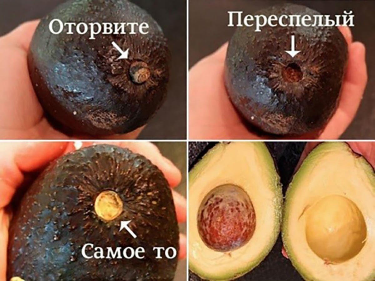 Как созреть авокадо в домашних условиях быстро. Как выбрать авокадо. Авокадо спелое. Как выбрать спелый авокадо. Как выбрал смелый авокадо.