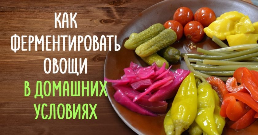 ферментация в домашних условиях