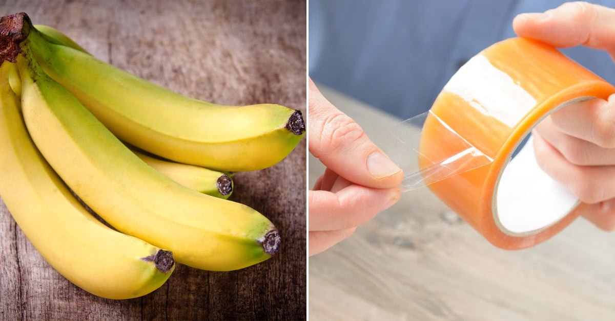 Как сохранить бананы в домашних. Банан на скотче. 2 Из бананов. Держи банан. Банан склеен пластырем.