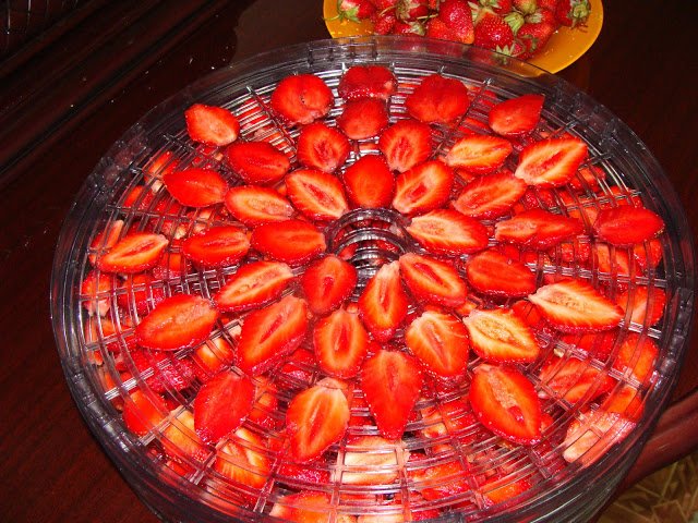 как сушить фрукты