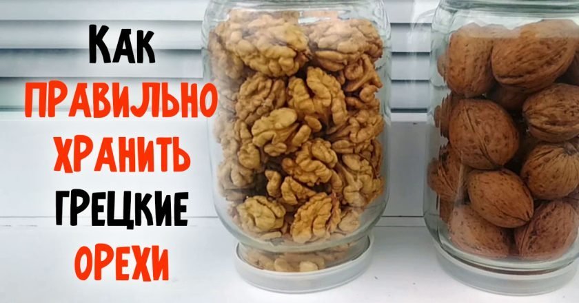 как хранить грецкие орехи