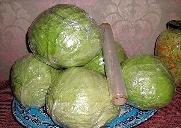 как хранить капусту