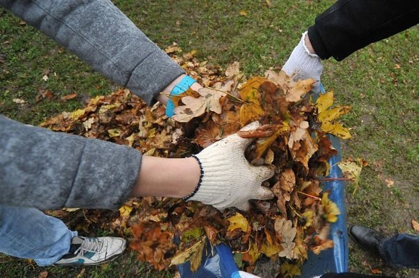 как хранить капусту