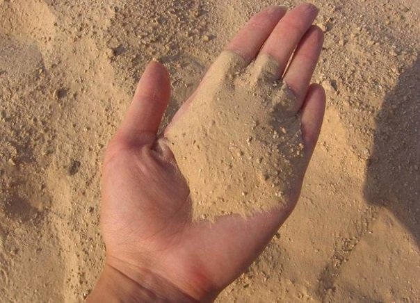 как хранить капусту