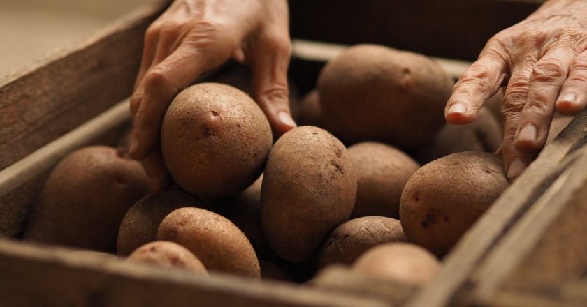 как хранить картофель