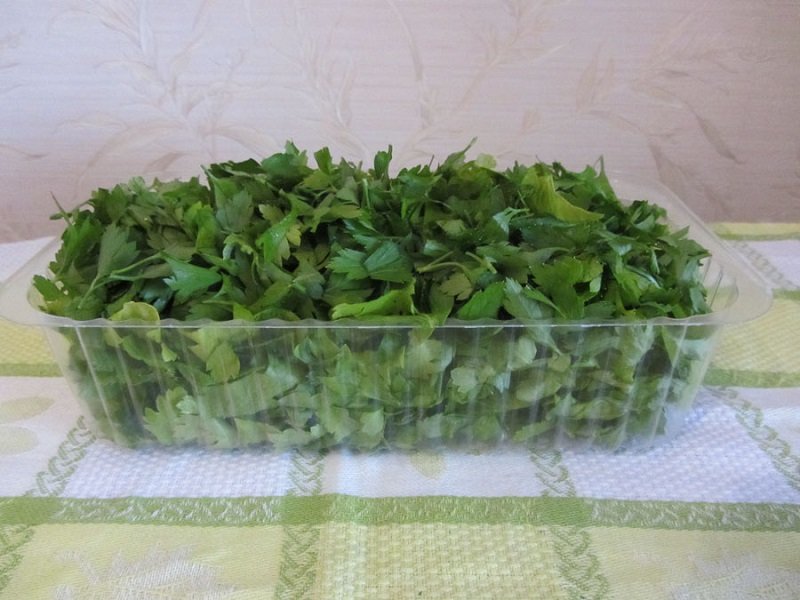 как хранить зелень в холодильнике