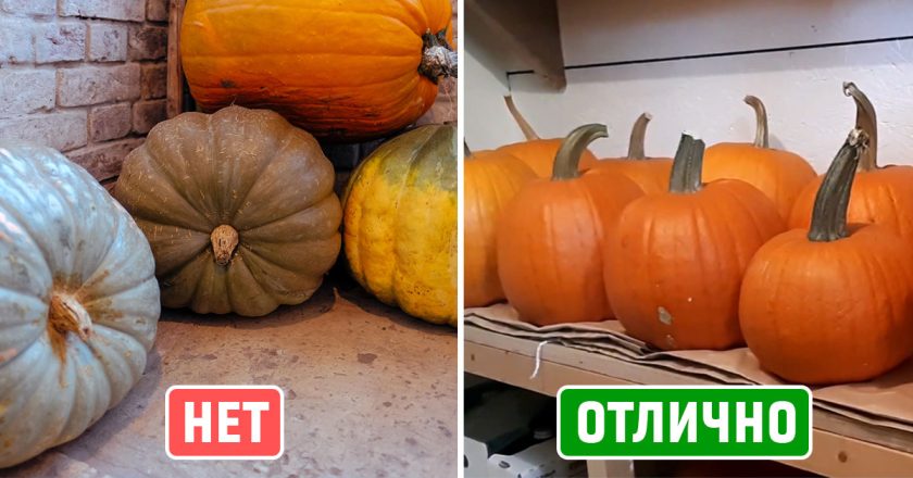 как хранить тыкву