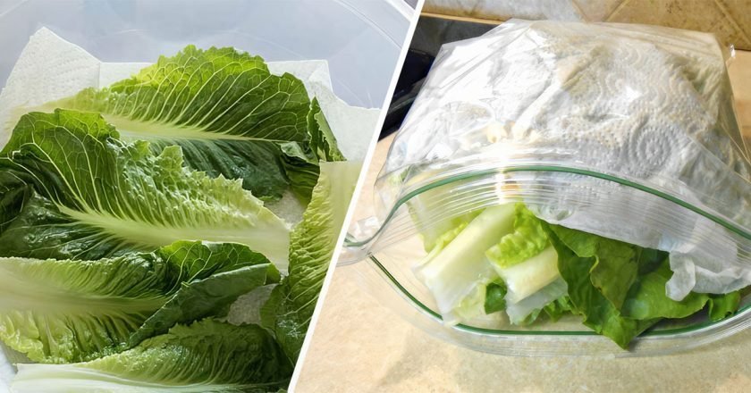 как хранить зелень свежей