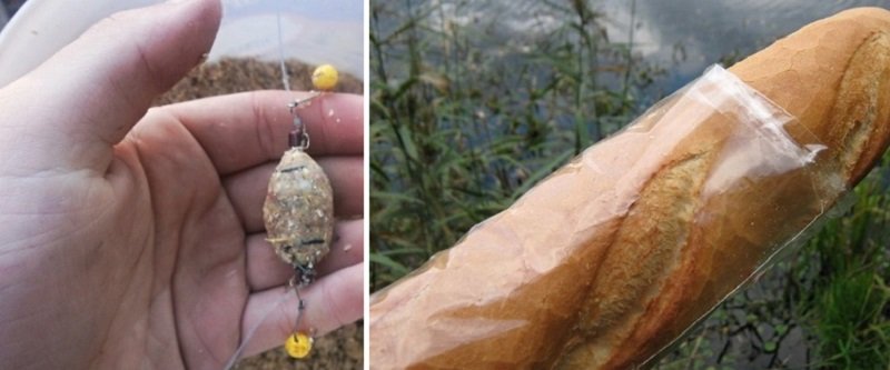 прикормка для рыбы