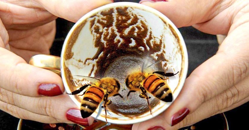 как использовать кофейную гущу