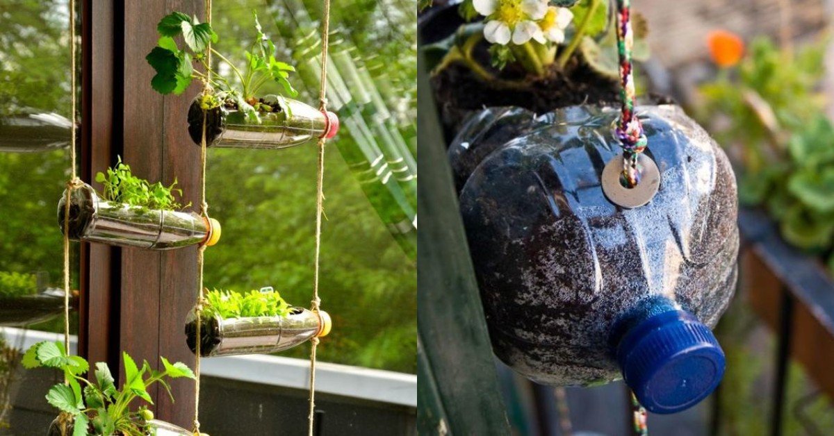 Из пластиковых бутылок - практичные решения для огорода