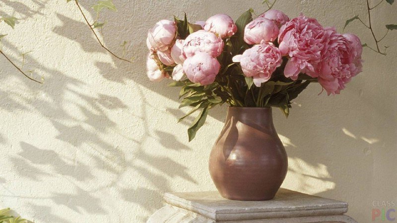 Как использовать сахар