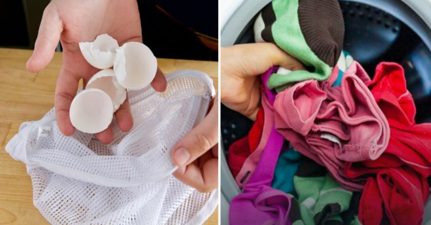 как использовать яичную скорлупу