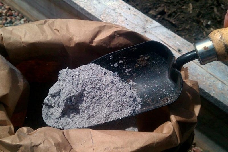 обработка капусты