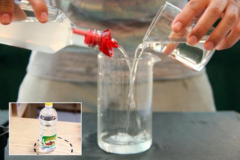 обработка капусты в домашних условиях