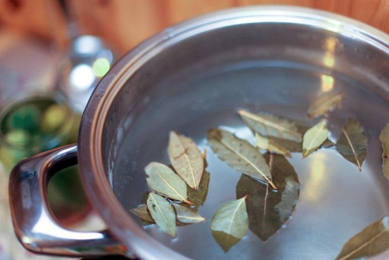 народные средства для обработки капусты от вредителей