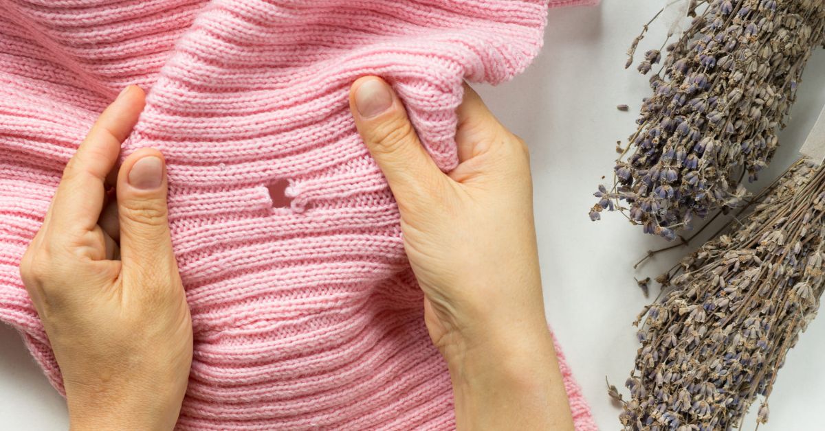 как избавиться от моли