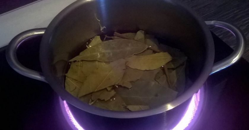 отвар из лаврового листа