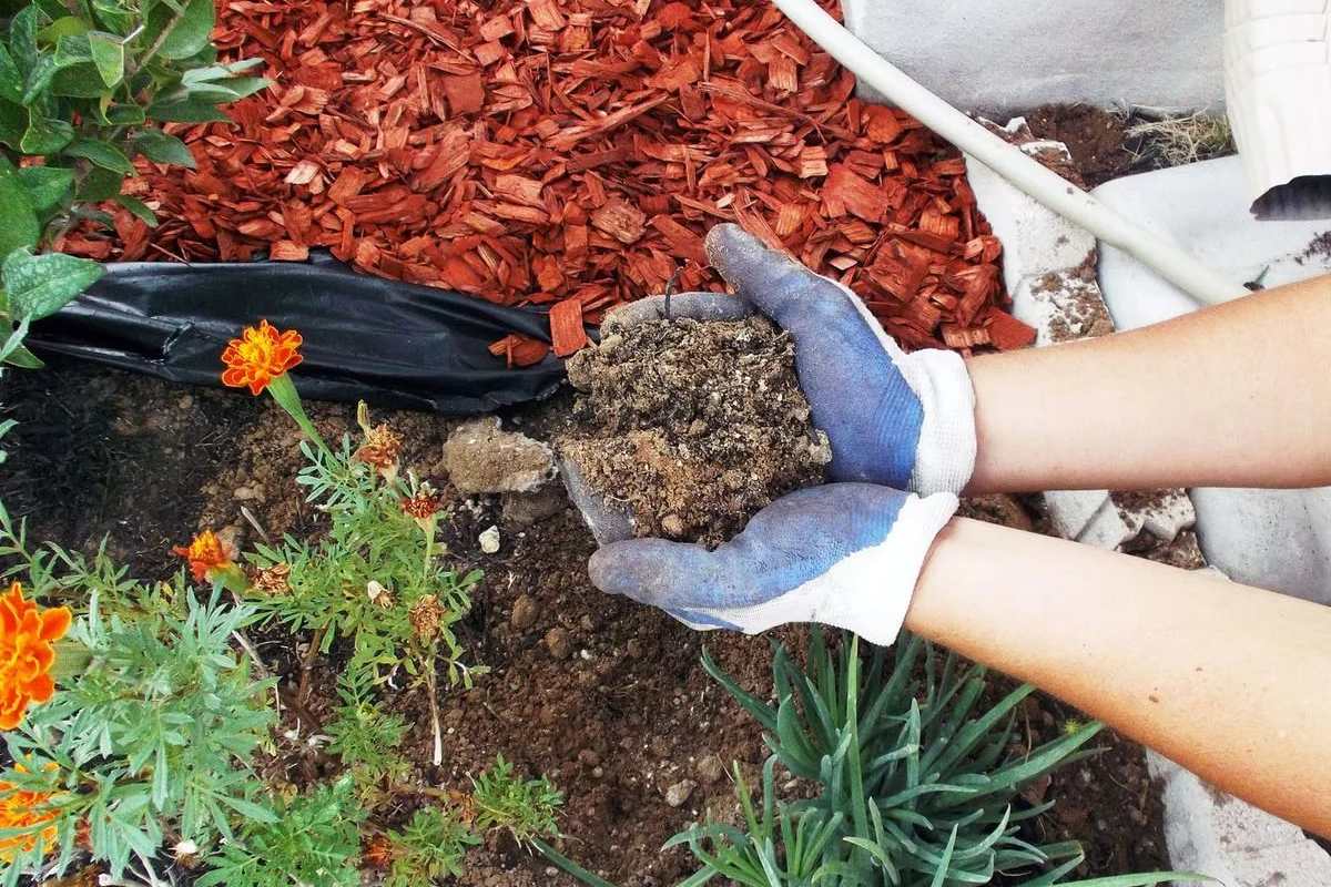 мульчирование почвы