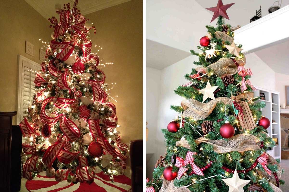  фаршированное сало 