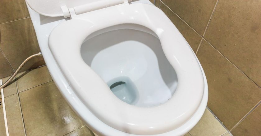 как почистить унитаз