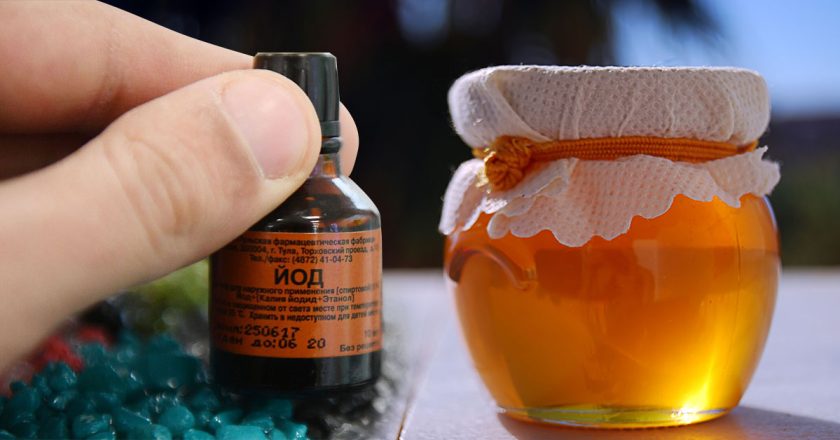 как определить натуральный мёд