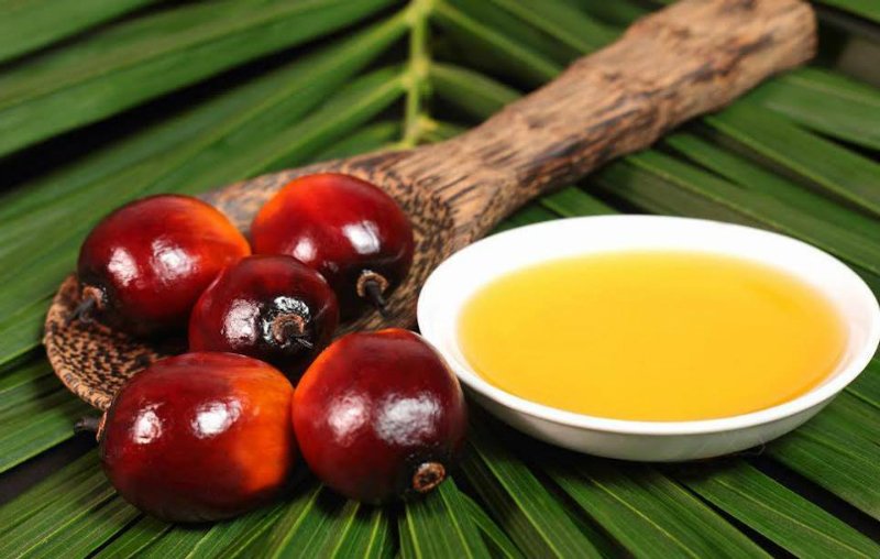 пальмовое масло в продуктах