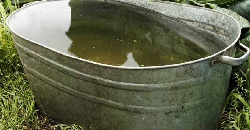 дождевая вода