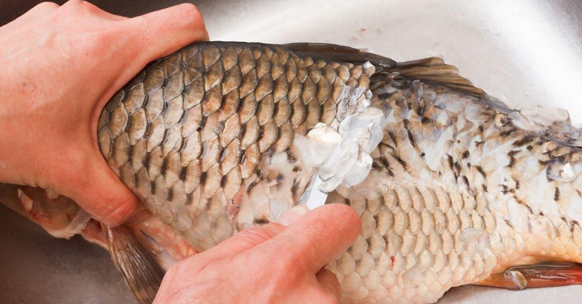 как почистить карпа