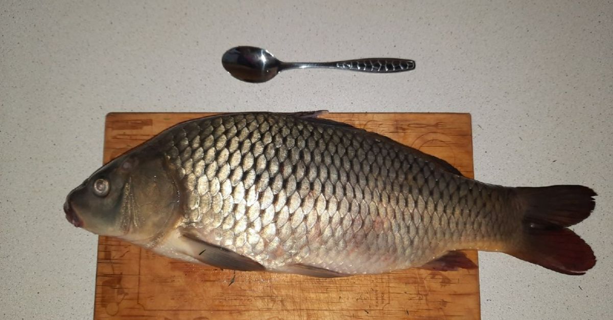 как почистить карпа ложкой