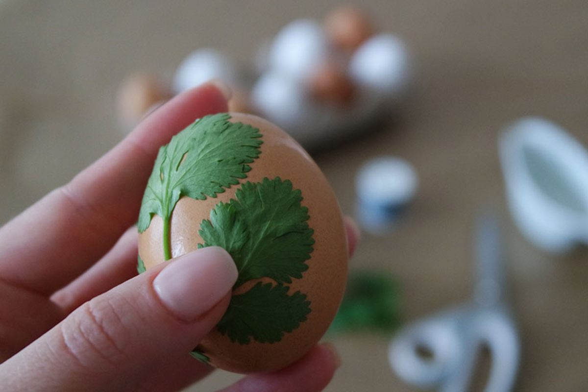 декор из зелени