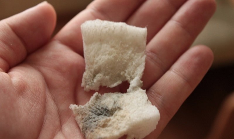 использование наногубки