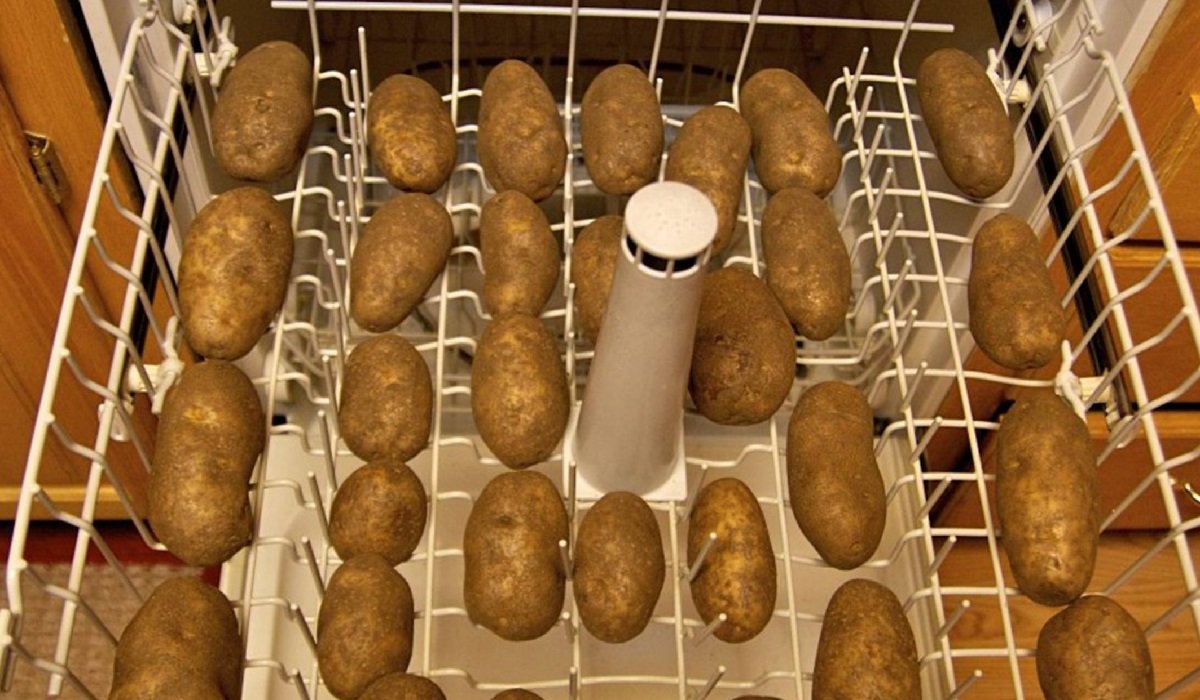 трюки с посудомойкой