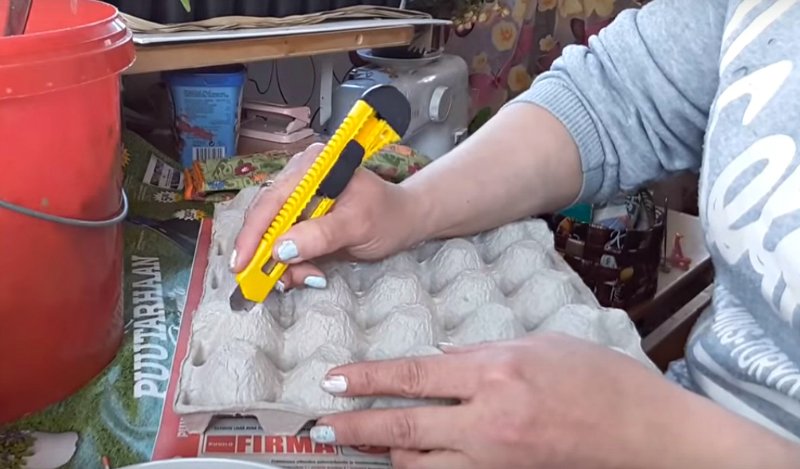 как посеять морковь