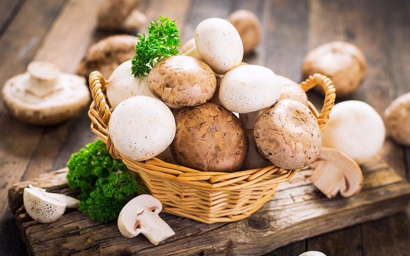 грибы шампиньоны