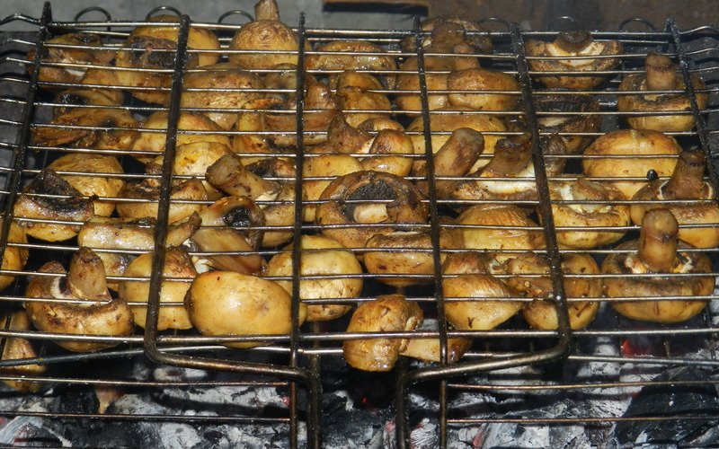 грибы на мангале