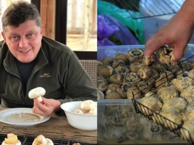 Как пожарить грибы на костре