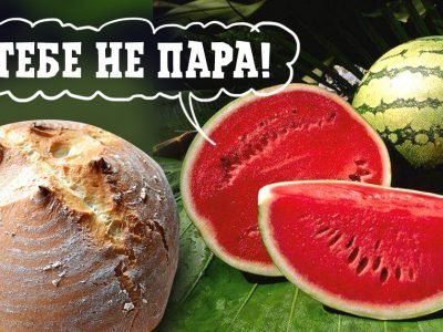 Как правильно есть арбуз: до еды или после