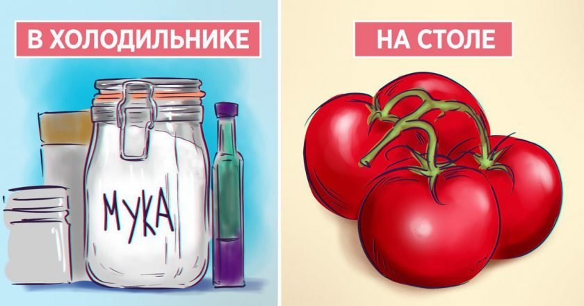 Как правильно хранить продукты Как правильно хранить продукты