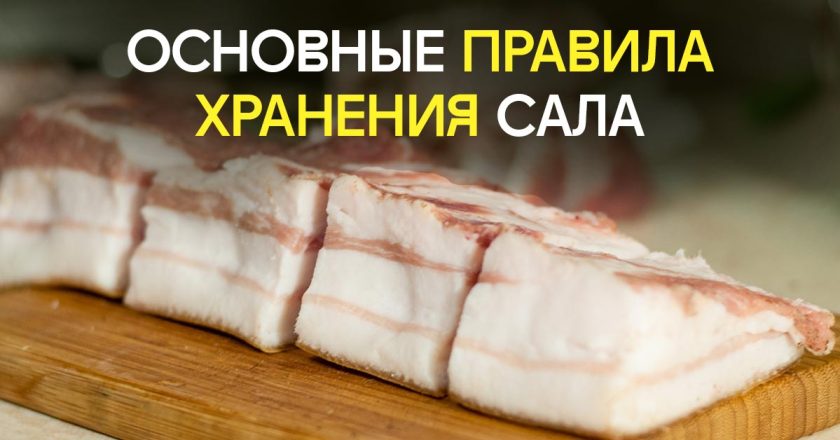 как правильно хранить сало