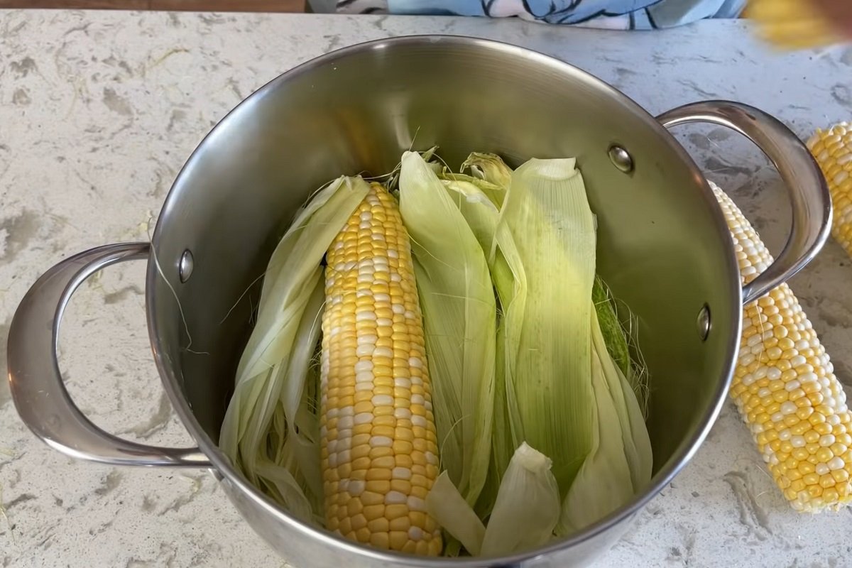 Варить початках в кастрюле. Кукуруза голландка. Похожа на кукурузу но без початков. Сварить кукурузу. Сварить кукурузу в початках.